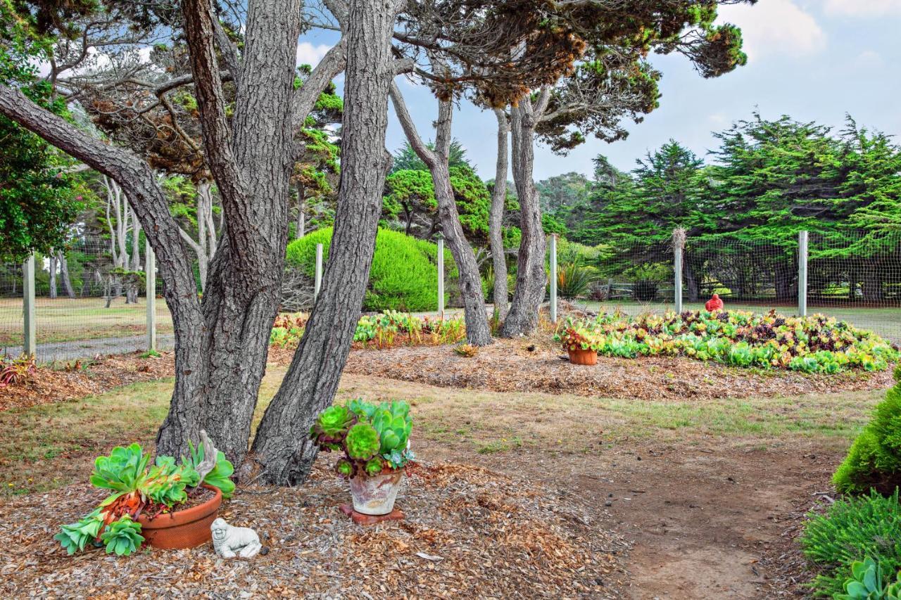 Sunset Point Fort Bragg Exterior foto